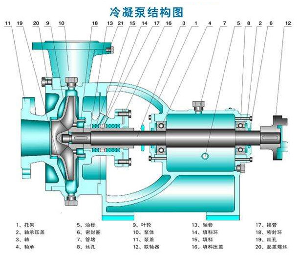 冷凝泵的結(jié)構(gòu)圖片