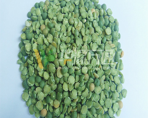 <a href=http://m.g-ma.cn/product/8/ target=_blank class=infotextkey>豌豆脫皮機(jī)</a>